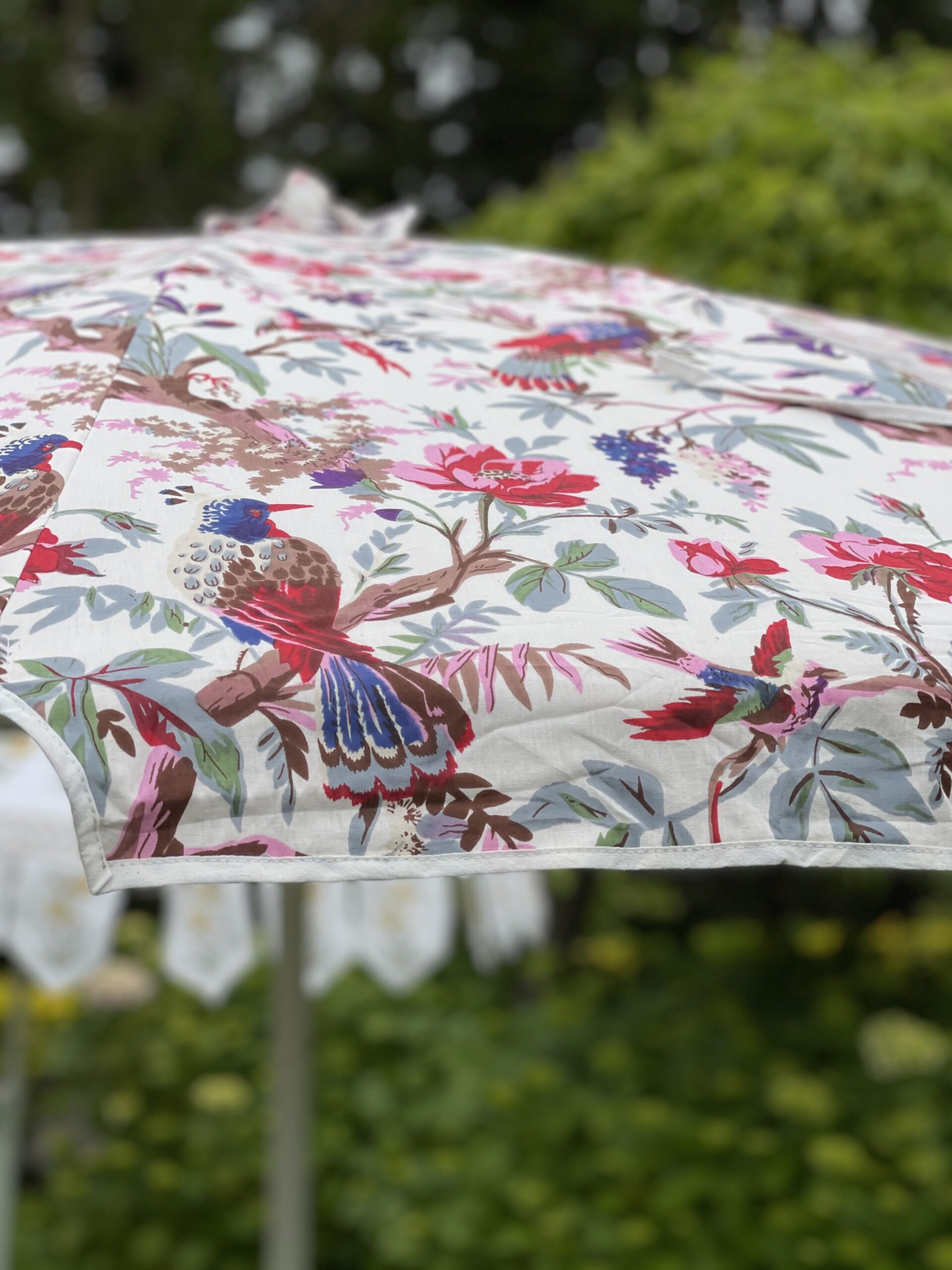 parasol-indio-pajaros