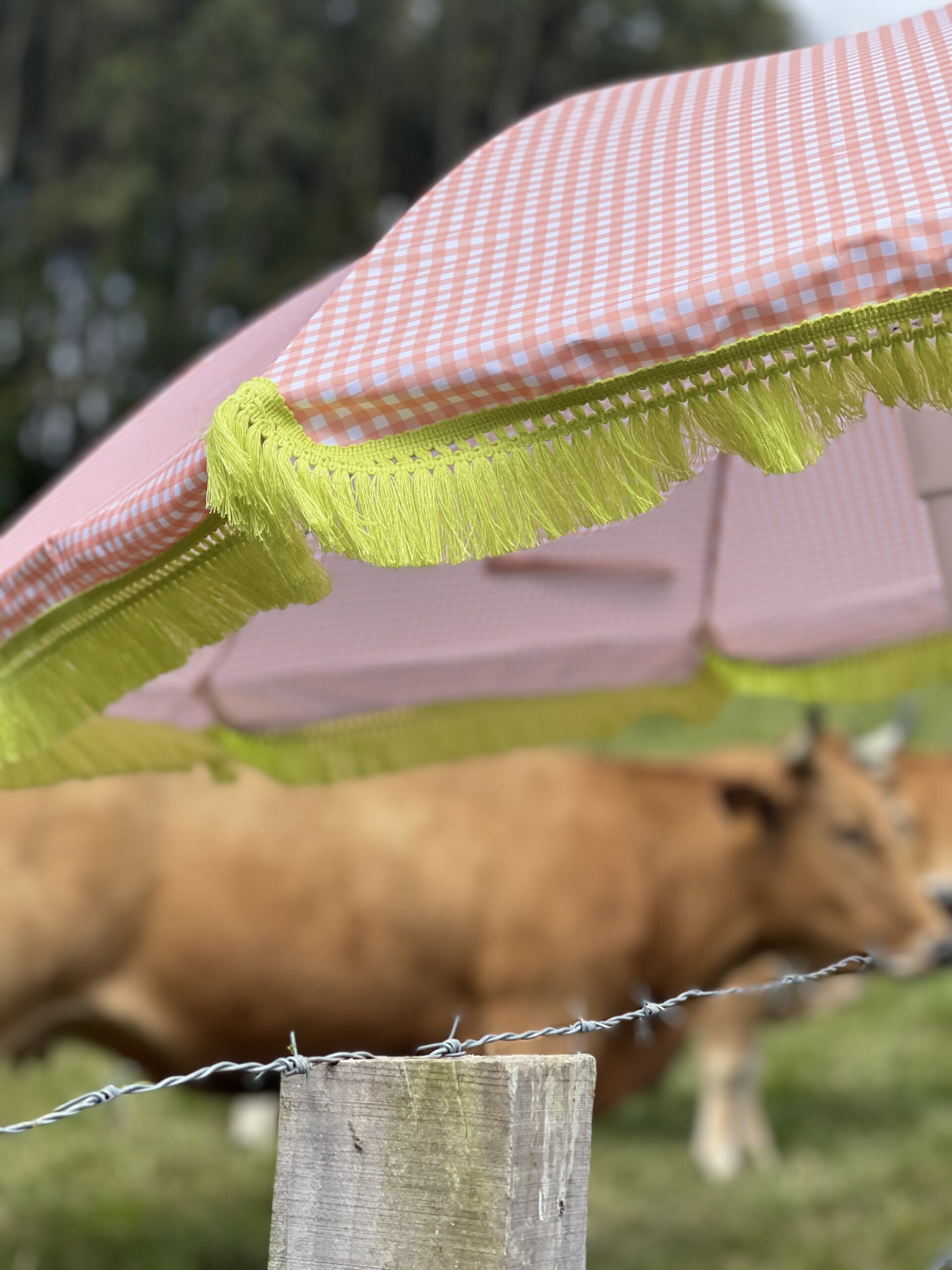 sombrilla vichy coral